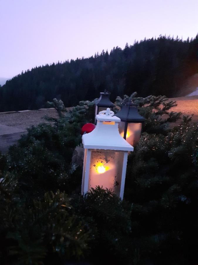 MUNSTER camping de la FECHT Exterior foto