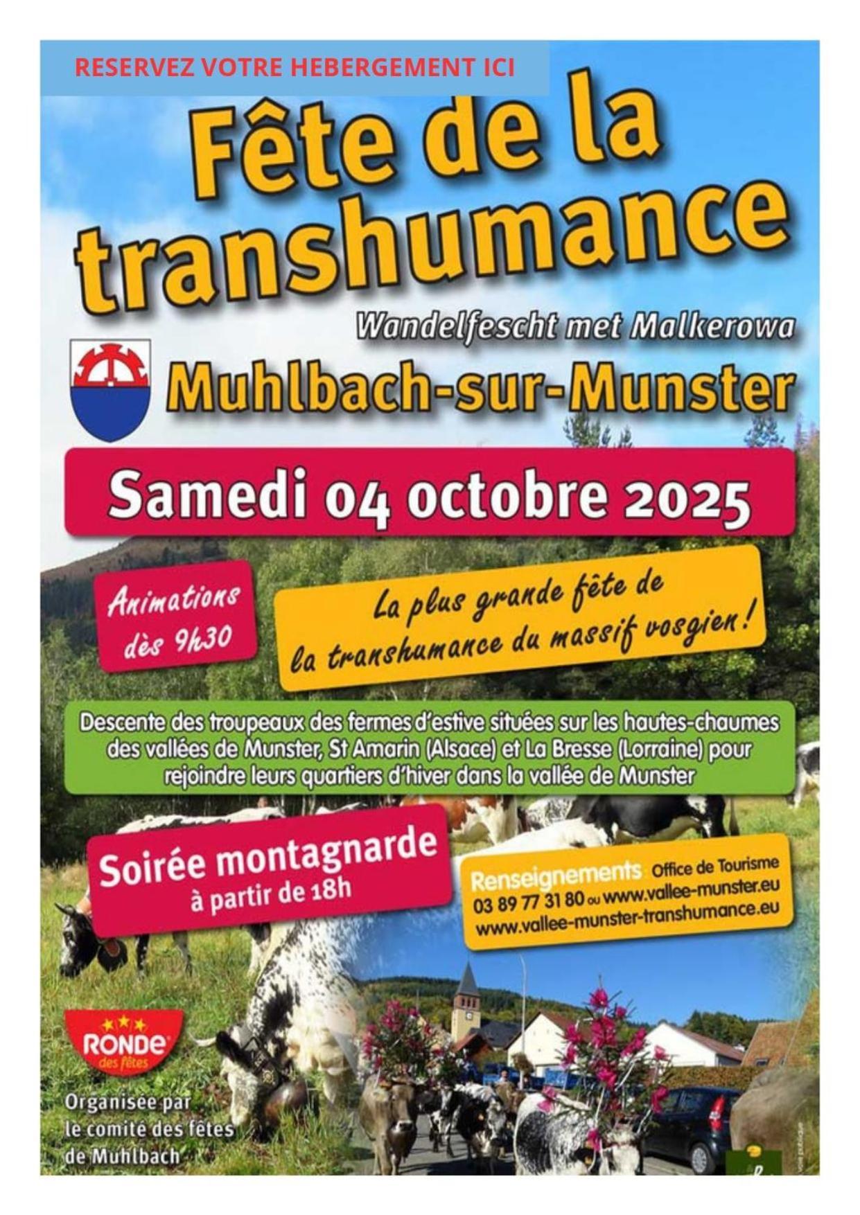 MUNSTER camping de la FECHT Exterior foto